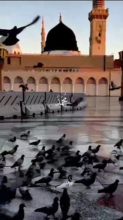 Naat Shareef #is ❤️ video #islamic chenal