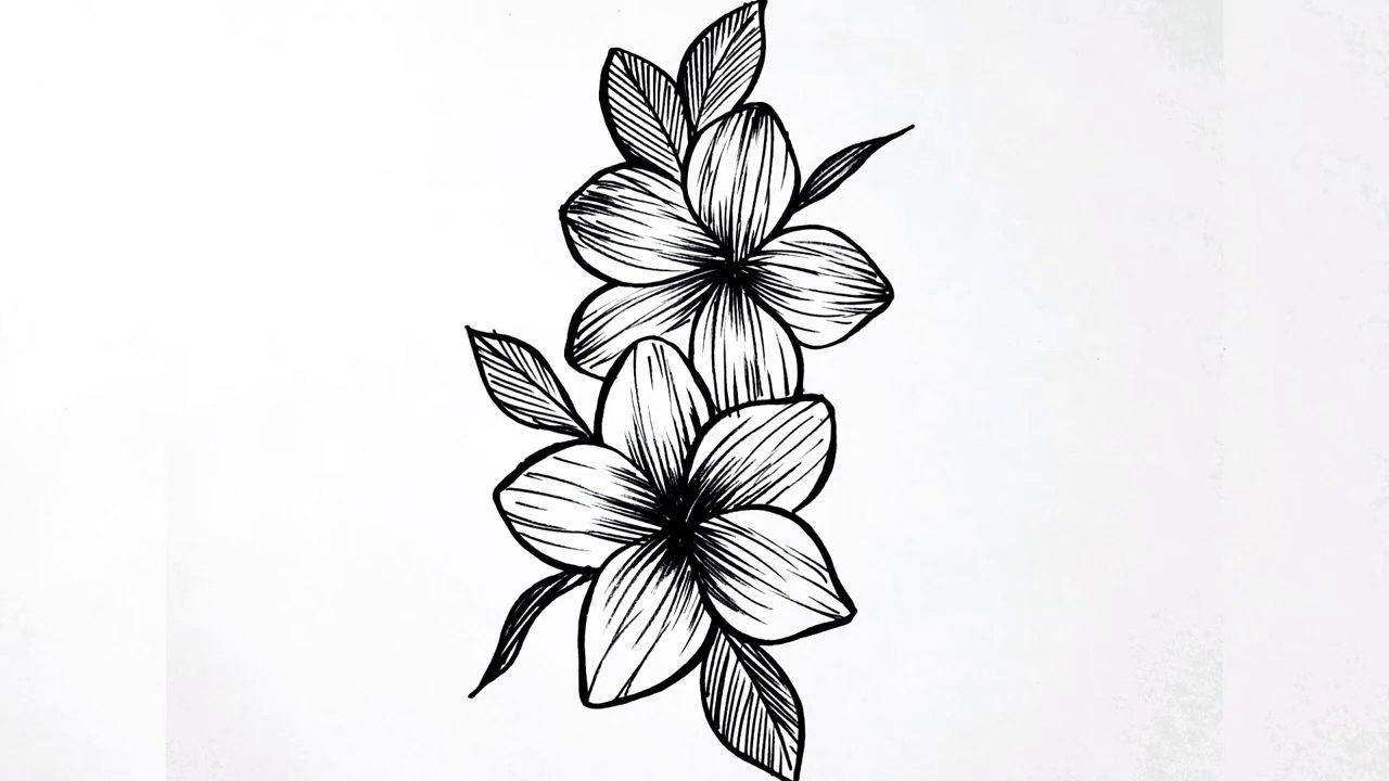 How to draw flowers easy __ Flower drawing tutorial for beginners