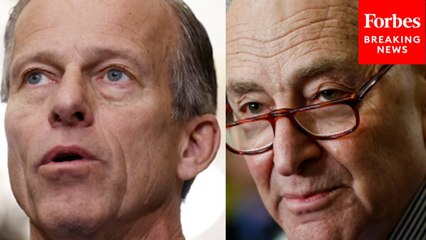 Chuck Schumer Calls On John Thune To Introduce Tariff Legislation After Market Loses $6 Trillion