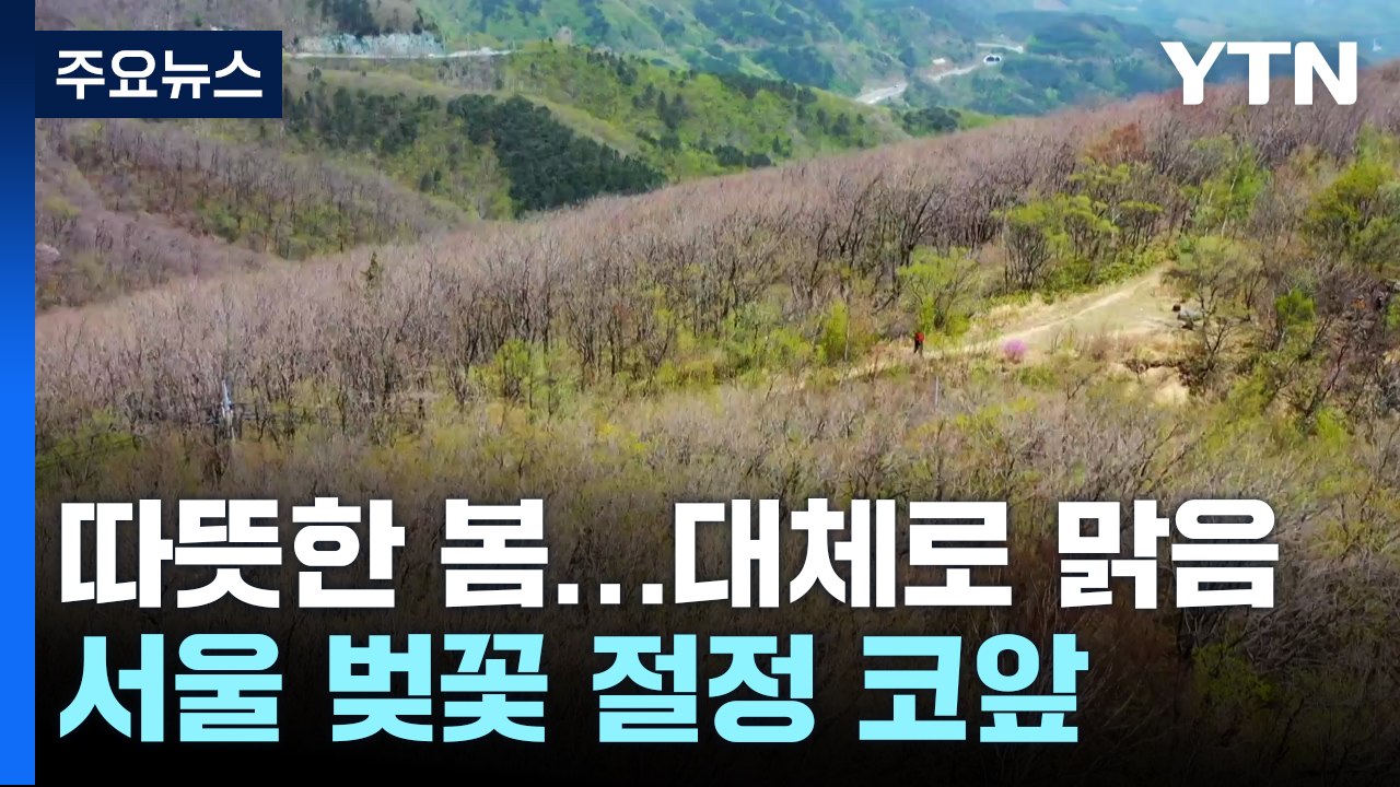[출근길 YTN 날씨 4/7] 맑고 따뜻, 서울 벚꽃도 절정이 코앞...낮에 서쪽 황...
