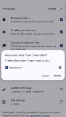 Chrome browser history delete