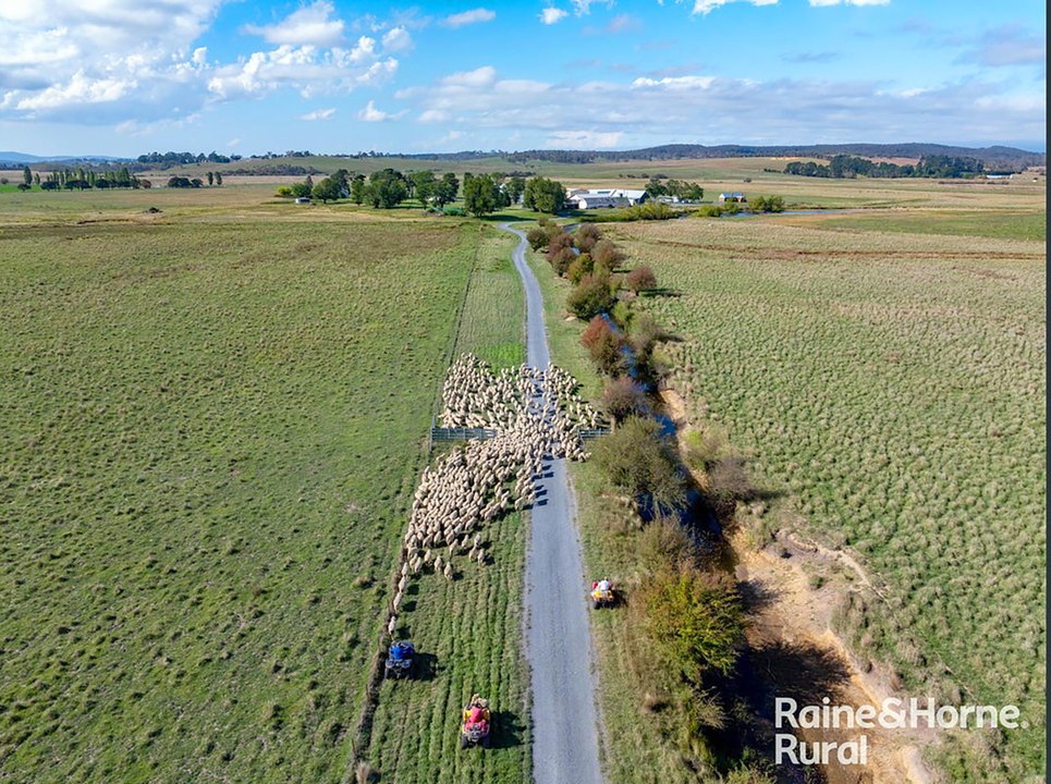 Premier NSW sheep property Inveralochy listed for sale in Southern Tablelands