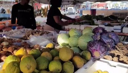 San Juan Constituency Spotlight: Who Will Win the Key Seat? 🗳️