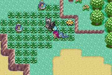 Pokemon Quetzal Multiplayer online multiplayer - gba