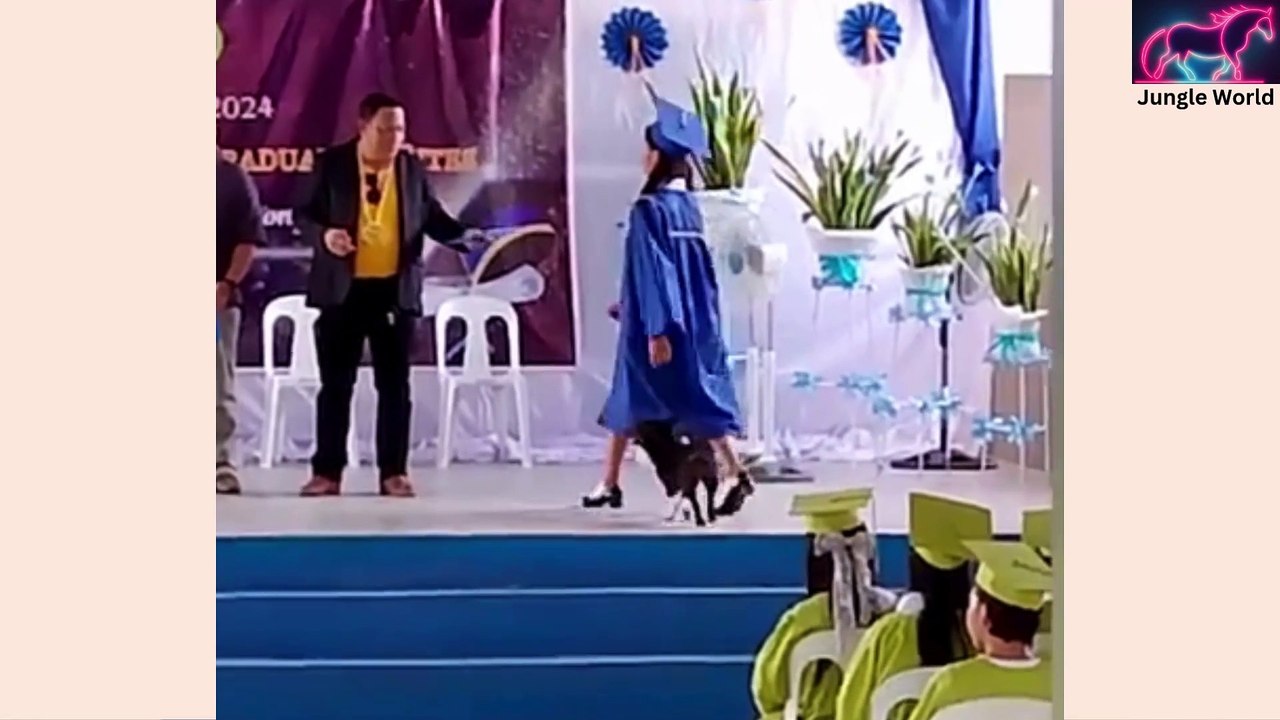 Cats & Dogs Being Cute & Funny – Part 15 😻🐶 | Jungle World #Part15 #FunnyAnimals #CutePets #CatsAndDogs #JungleWorld #AnimalLove #PetsWithHumans #ViralVideos