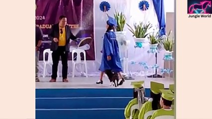 Cats & Dogs Being Cute & Funny – Part 15 😻🐶 | Jungle World #Part15 #FunnyAnimals #CutePets #CatsAndDogs #JungleWorld #AnimalLove #PetsWithHumans #ViralVideos