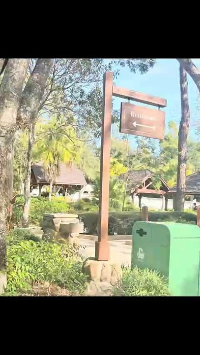 Disney's Blizzard Beach Water Park Bay Lake, FL 2024