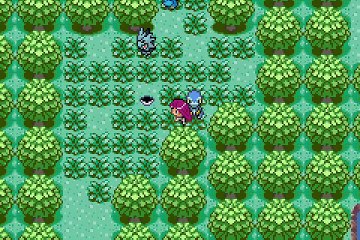 Pokemon Quetzal Multiplayer online multiplayer - gba