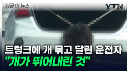 트렁크에 대형견 묶고 끌고 간 운전자...본인 개도 아니었다 [지금이뉴스]  / YTN