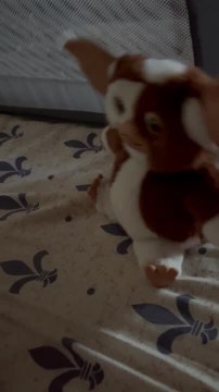 Funny Chihuahua Howls and Sings Along With His Toy