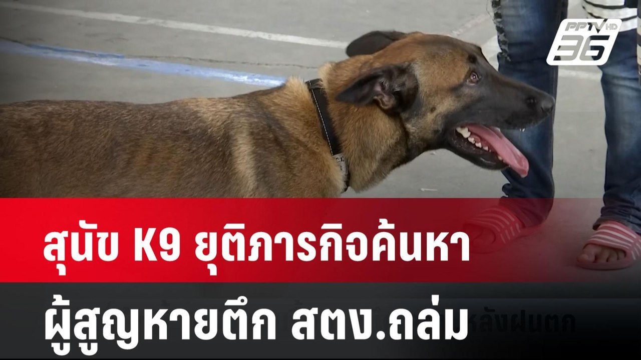 สุนัข K9 ยุติภารกิจค้นหาผู้สูญหายตึก สตง.ถล่ม...