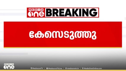 പുറക്കാമല ക്വാറി സമരത്തിനിടെ 15 കാരനെ കസ്റ്റഡിയിൽ എടുത്ത സംഭവം; ബാലാവകാശ കമ്മീഷൻ കേസെടുത്തു