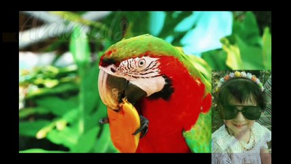 Cute Baby Animals 🐻 4K - Relaxation Film with Peaceful Relaxing Music and Animals part 6