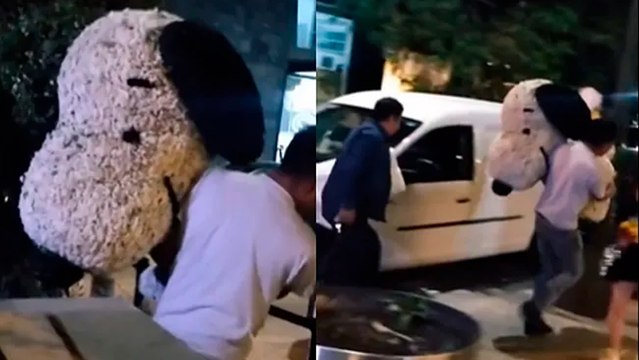 Viral: Sujetos roban Snoopy del Festival de Flores y Jardines en Polanco