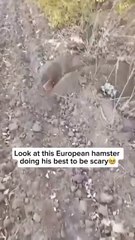 “This One Second Will Melt You”