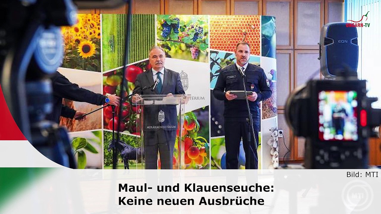 hallo ungarn – Kurznachrichten am 08.04.2025