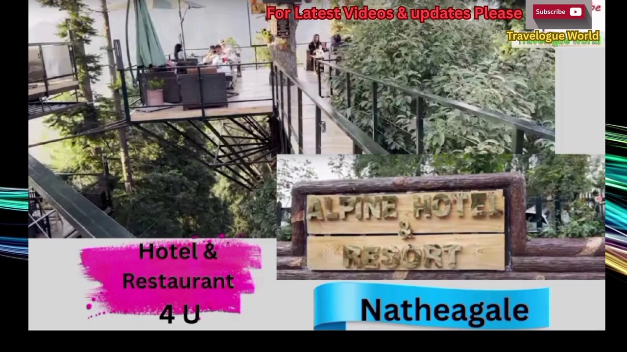 Alpine Hotel & Resort Natheagali | NATHEAGALI Resort IsThe MOST Luxurious Getaway | Natheagali best Resort in Summer for Families