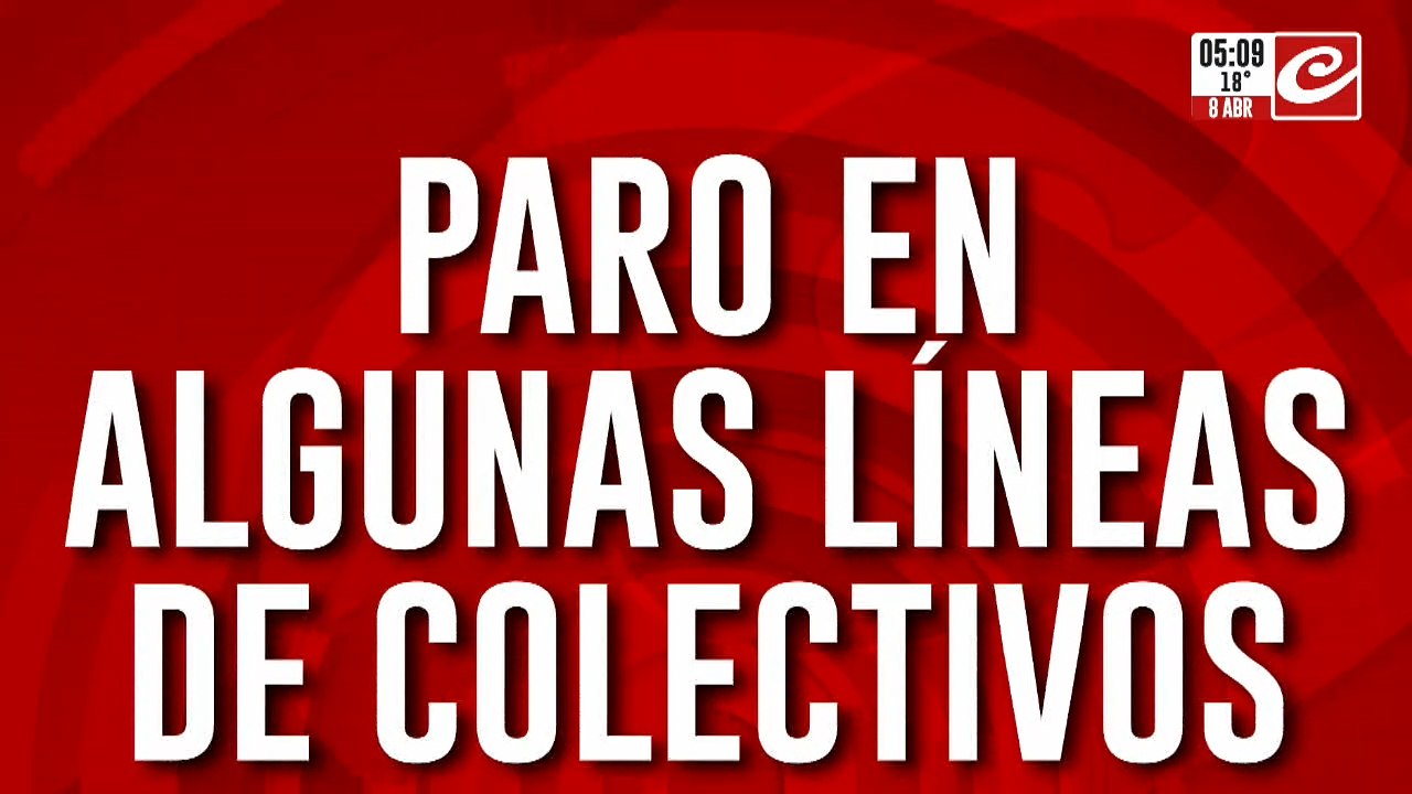 Sorpresivo paro de colectivos en zona sur: ¿qué líneas se ven afectadas?