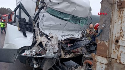 TIR'a çarpan minibüsün sürücüsü öldü