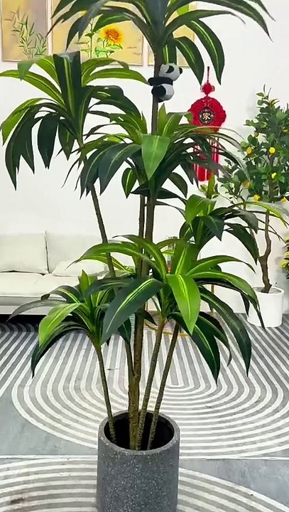 Cây thiết mộc lan giả đủ mẫu mã, đủ kích thước, mẫu mã bắt mắt, bảo hành 12 tháng | Mua ngay