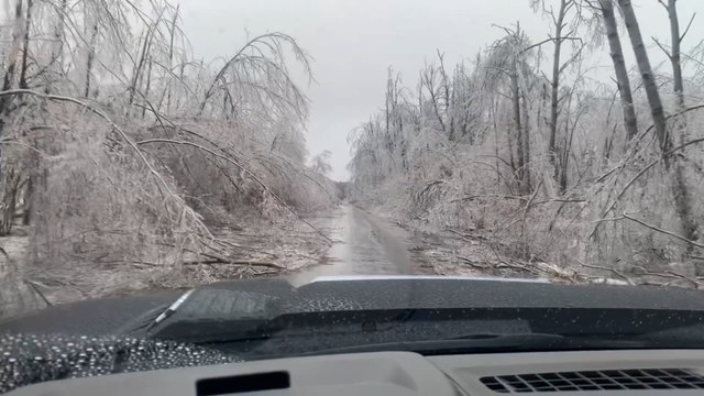Erstaunliche Aufnahmen zeigen Bäume in Michigan, die nach einem heftigen Sturm unter dem Eis zusammenbrechen