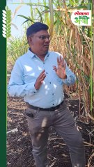 उसांच्या जाती पाणी कमी उत्पादन जास्त उसाची ११०८२ जात