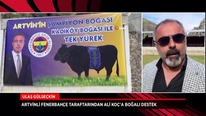 Artvinli Fenerbahçe taraftarından Ali Koç'a boğalı destek