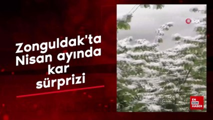 Zonguldak'ta Nisan ayında kar sürprizi