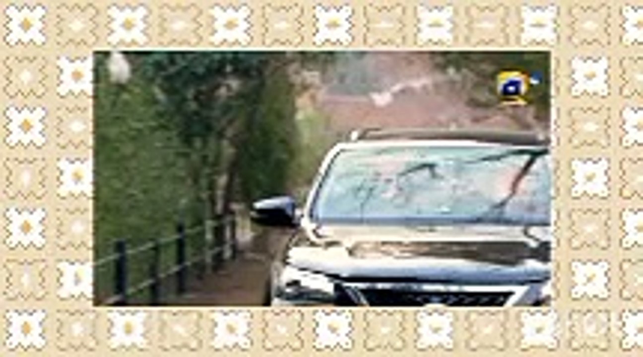 Entertainment video