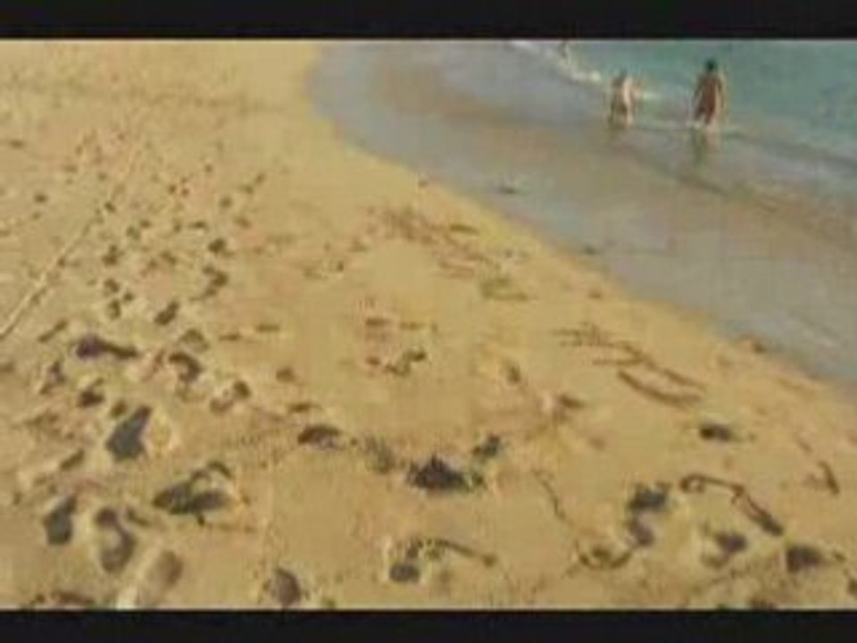 Bab salto avant plage des roches noires réunion