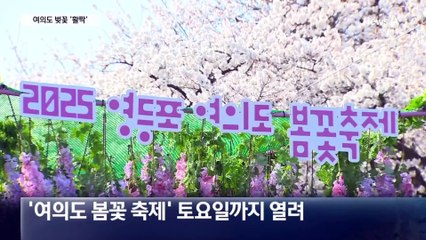 드디어 찾아온 봄…여의도 벚꽃축제 개막