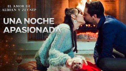 Amor De Labio A Labio