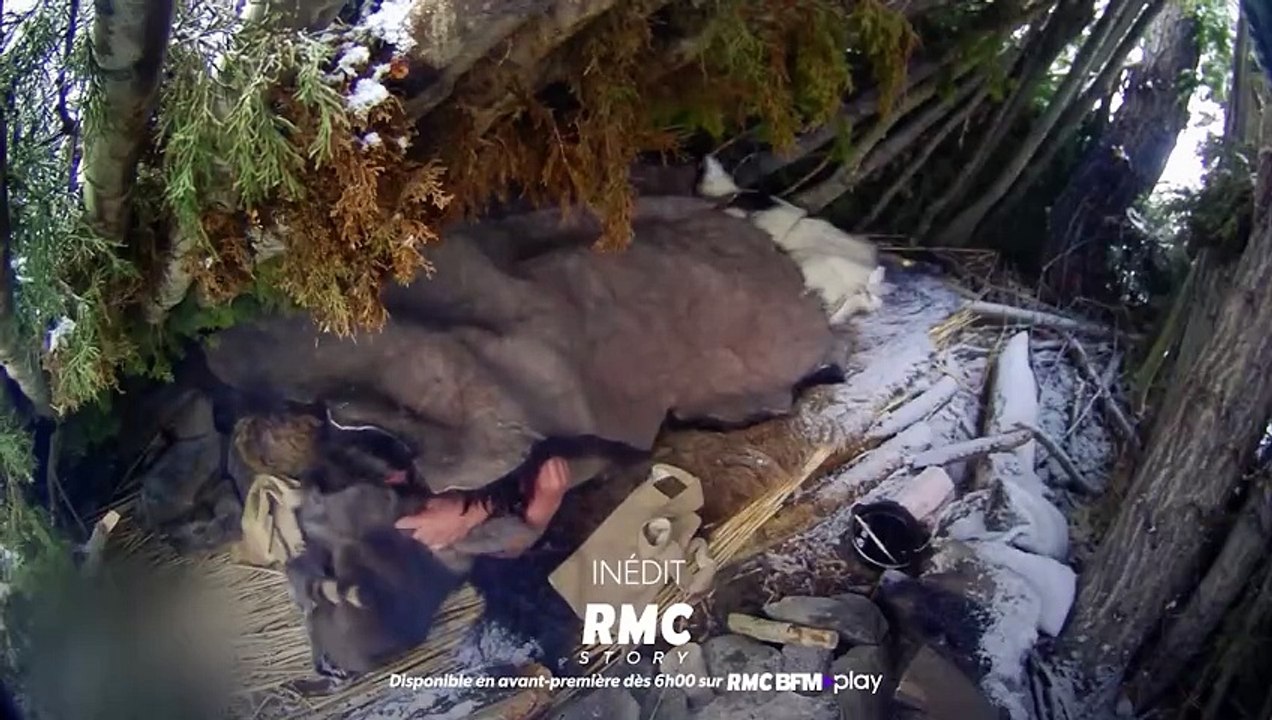 Retour à l'instinct primaire : Restons groupés