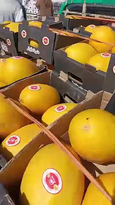 إنزال كبير للبطيخ الأصفر بسوق الجملة في بسكرة.