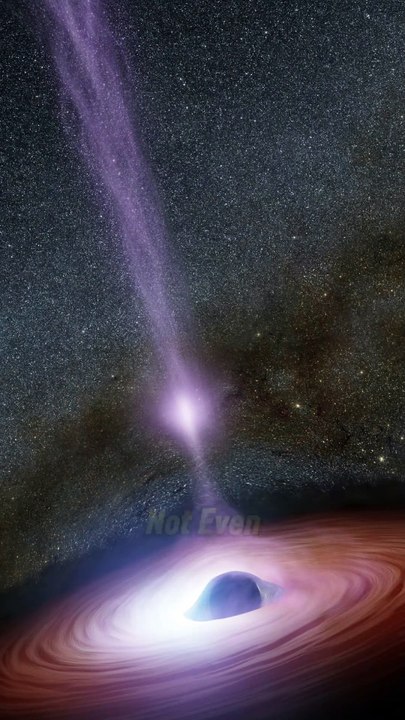 Are Black Holes Wormholes