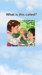 what is this called?