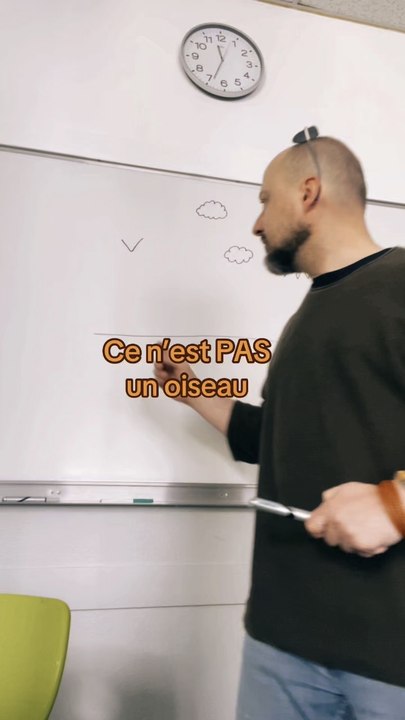 Tuto dessin : un oiseau ( pas un V )