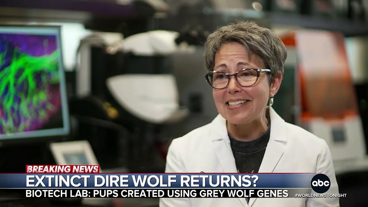 Scientists- Dire wolf brought back from extinction after 13,000 years_3
