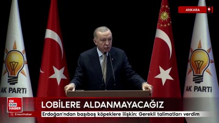 Erdoğan'ndan başıboş köpeklere ilişkin: Gerekli talimatları verdim