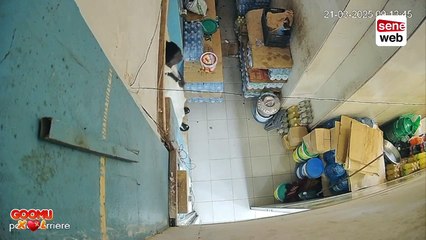 Vol des 100 millions_ Le plan du cousin de Ch. Badiane, les millions récupérés, la nouvelle victime