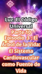 "EL ÁRBOL DE LA VIDA: Tu Sistema Cardiovascular, la Fuente Sagrada de la Existencia"