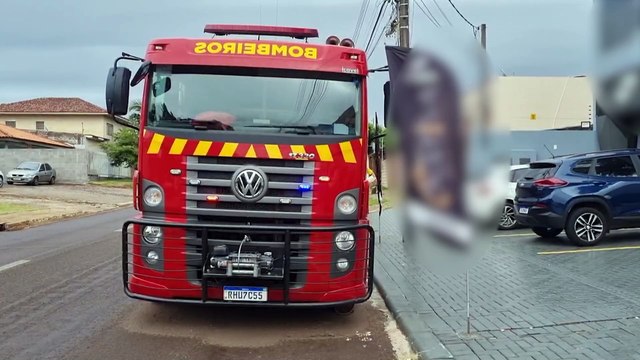 Operação Páscoa: Bombeiros são acionados para resgatar coelho em buraco