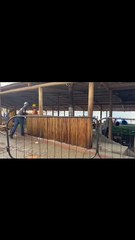 Estruturas de quiosques irregulares são demolidas na Praia de Itapuã; confira