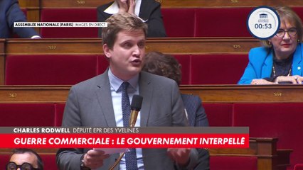 Charles Rodwell: «Donald Trump ne souhaite que le massacre de l’industrie française et européenne»