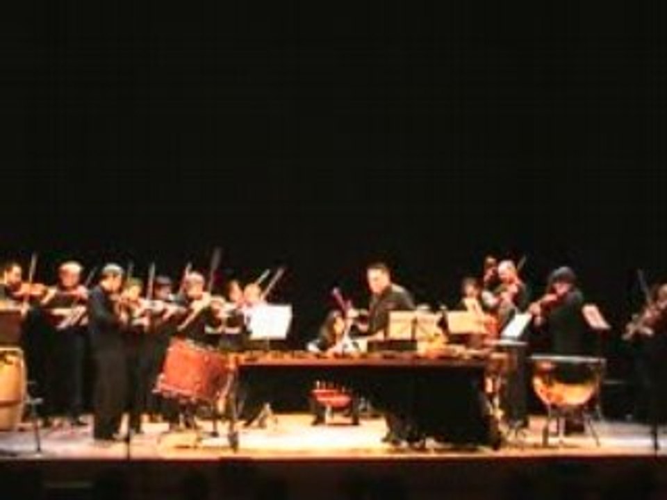 Visions (2005) for Marimba and String Orchestra