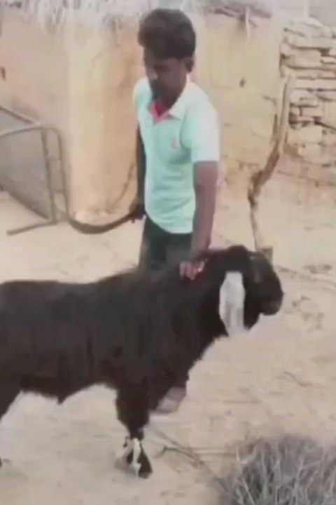 #freshjuice #fypシ゚viralシ #reelsfbシ #2025reels #viralreelsfb #virralreels #trendingreels #reelsfacebook #trendingreelsvideo #reelschallenge #foryoupageシ #foryoupageviralシ゚