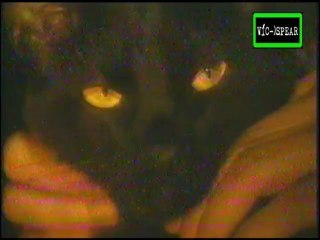Quien teme... al Gato de la Bruja..? Documental (1996) Español Latino
