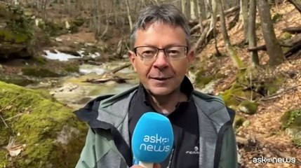 La trota mediterranea, a rischio estinzione, torna nei fiumi italiani