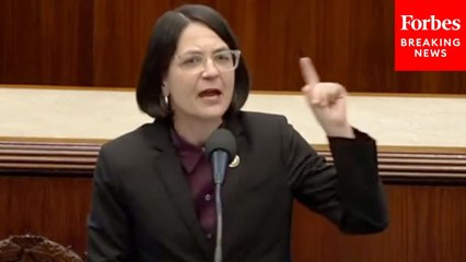 '75% Of These Men—No Criminal Charges In The U.S.!': Becca Balint Slams Trump Deportation Flights