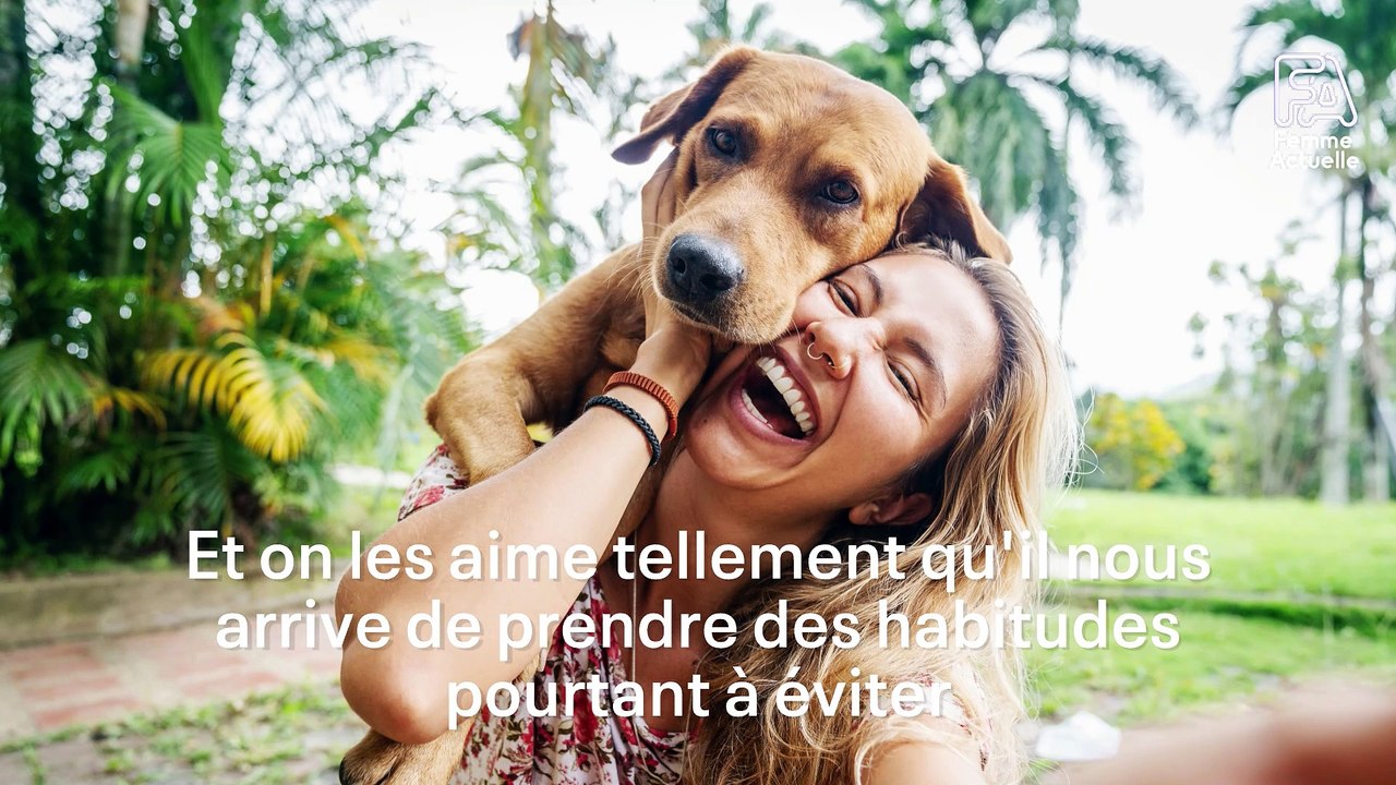 FEMME ACTUELLE - Laisser son chien lécher son assiette avant de la mettre au lave vaisselle, voici pourquoi c’est une très mauvaise idée